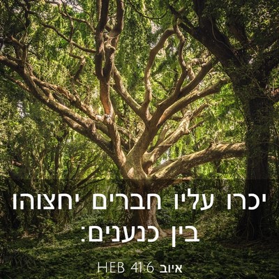 Picture 03 - איוב 41:6 HEB - יכרו עליו חברים יחצוהו בין - Bible Verse Picture