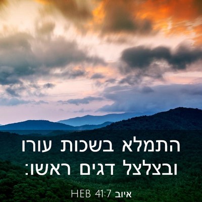 Picture 03 - איוב 41:7 HEB - התמלא בשכות עורו ובצלצל - Bible Verse Picture