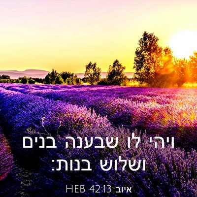Picture 03 - איוב 42:13 HEB - ויהי לו שבענה בנים ושלוש - Bible Verse Picture