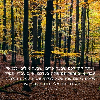 Picture 03 - איוב 42:8 HEB - ועתה קחו לכם שבעה פרים - Bible Verse Picture