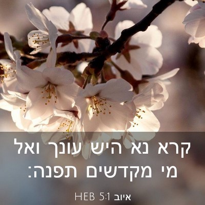 Picture 03 - איוב 5:1 HEB - קרא נא היש עונך ואל מי - Bible Verse Picture
