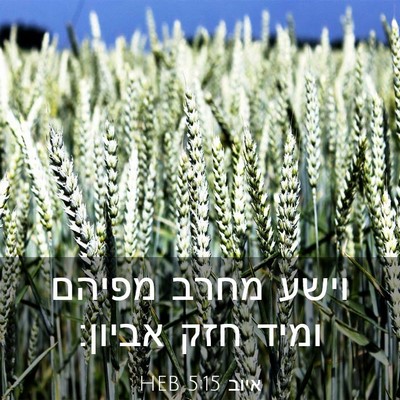 Picture 03 - איוב 5:15 HEB - וישע מחרב מפיהם ומיד חזק - Bible Verse Picture