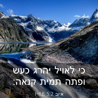 Picture 03 - איוב 5:2 HEB - כי לאויל יהרג כעש ופתה תמית - Bible Verse Picture
