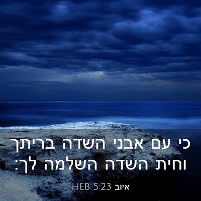 Picture 03 - איוב 5:23 HEB - כי עם אבני השדה בריתך וחית - Bible Verse Picture