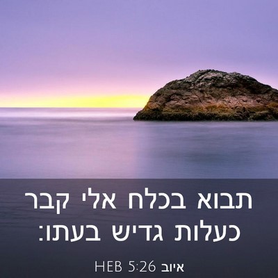 Picture 03 - איוב 5:26 HEB - תבוא בכלח אלי קבר כעלות - Bible Verse Picture