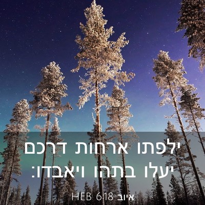 Picture 03 - איוב 6:18 HEB - ילפתו ארחות דרכם יעלו בתהו - Bible Verse Picture