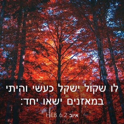 Picture 03 - איוב 6:2 HEB - לו שקול ישקל כעשי והיתי - Bible Verse Picture