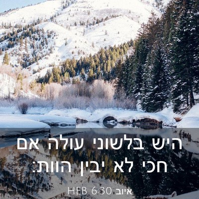 Picture 03 - איוב 6:30 HEB - היש בלשוני עולה אם חכי לא - Bible Verse Picture
