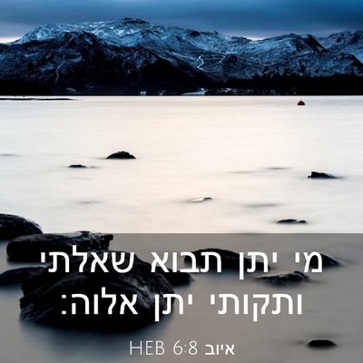 Picture 03 - איוב 6:8 HEB - מי יתן תבוא שאלתי ותקותי - Bible Verse Picture