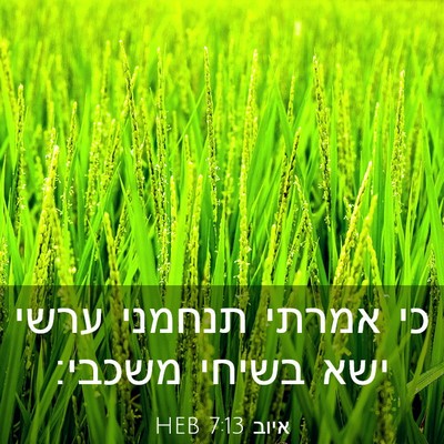 Picture 03 - איוב 7:13 HEB - כי אמרתי תנחמני ערשי ישא - Bible Verse Picture