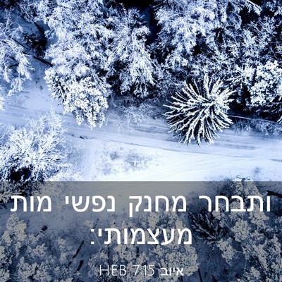 Picture 03 - איוב 7:15 HEB - ותבחר מחנק נפשי מות - Bible Verse Picture