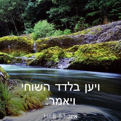 Picture 03 - איוב 8:1 HEB - ויען בלדד השוחי - Bible Verse Picture