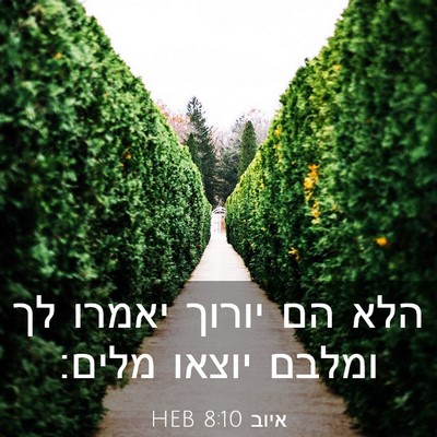 Picture 03 - איוב 8:10 HEB - הלא הם יורוך יאמרו לך ומלבם - Bible Verse Picture