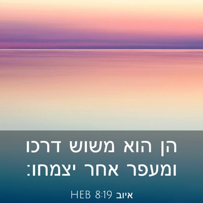 Picture 03 - איוב 8:19 HEB - הן הוא משוש דרכו ומעפר אחר - Bible Verse Picture