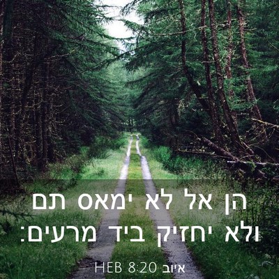 Picture 03 - איוב 8:20 HEB - הן אל לא ימאס תם ולא יחזיק - Bible Verse Picture