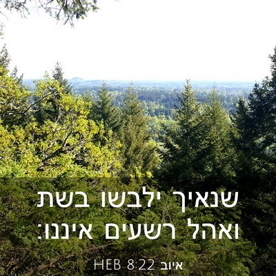 Picture 03 - איוב 8:22 HEB - שנאיך ילבשו בשת ואהל רשעים - Bible Verse Picture