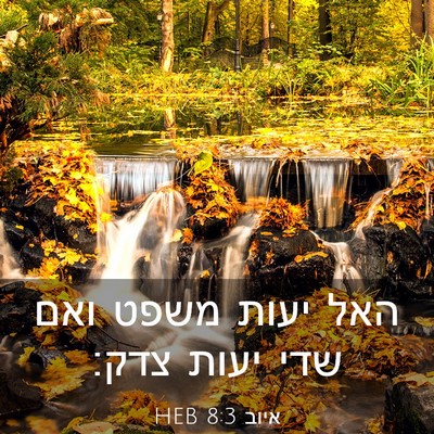 Picture 03 - איוב 8:3 HEB - האל יעות משפט ואם שדי יעות - Bible Verse Picture