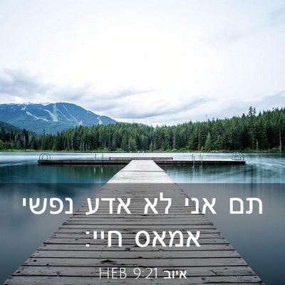 Picture 03 - איוב 9:21 HEB - תם אני לא אדע נפשי אמאס - Bible Verse Picture