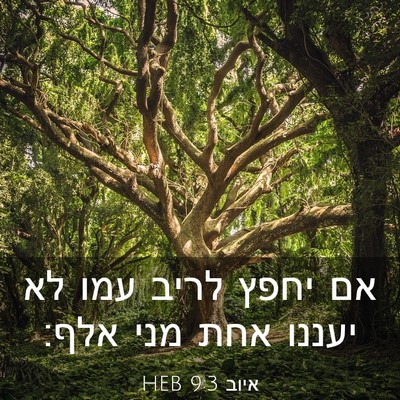 Picture 03 - איוב 9:3 HEB - אם יחפץ לריב עמו לא יעננו - Bible Verse Picture