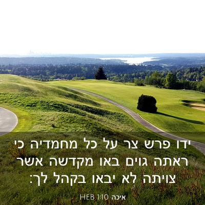 Picture 03 - איכה 1:10 HEB - ידו פרש צר על כל מחמדיה כי - Bible Verse Picture