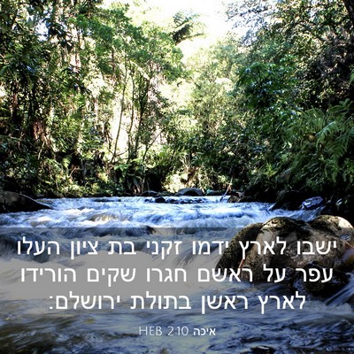 Picture 03 - איכה 2:10 HEB - ישבו לארץ ידמו זקני בת ציון - Bible Verse Picture
