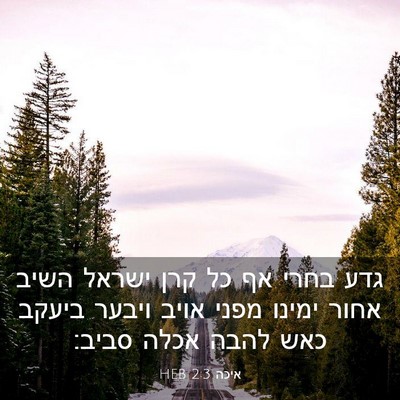 Picture 03 - איכה 2:3 HEB - גדע בחרי אף כל קרן ישראל - Bible Verse Picture