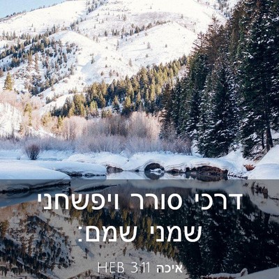 Picture 03 - איכה 3:11 HEB - דרכי סורר ויפשחני שמני - Bible Verse Picture