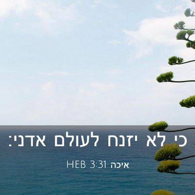 Picture 03 - איכה 3:31 HEB - כי לא יזנח לעולם - Bible Verse Picture