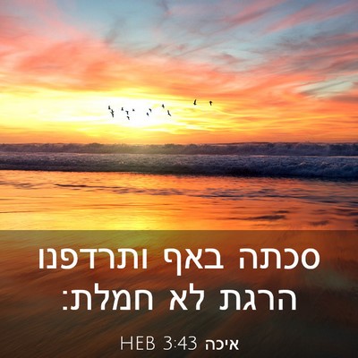 Picture 03 - איכה 3:43 HEB - סכתה באף ותרדפנו הרגת לא - Bible Verse Picture