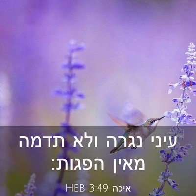 Picture 03 - איכה 3:49 HEB - עיני נגרה ולא תדמה מאין - Bible Verse Picture