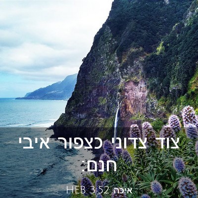 Picture 03 - איכה 3:52 HEB - צוד צדוני כצפור איבי - Bible Verse Picture