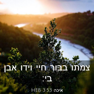 Picture 03 - איכה 3:53 HEB - צמתו בבור חיי וידו אבן - Bible Verse Picture