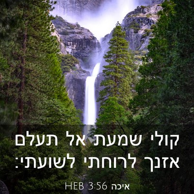 Picture 03 - איכה 3:56 HEB - קולי שמעת אל תעלם אזנך - Bible Verse Picture