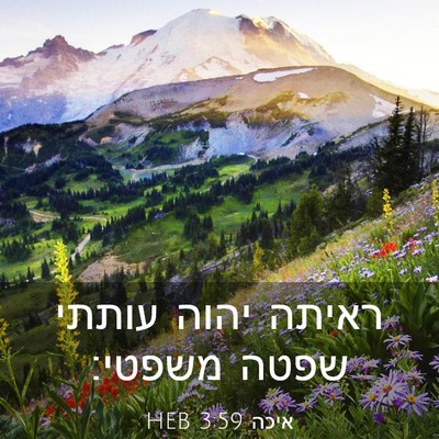 Picture 03 - איכה 3:59 HEB - ראיתה יהוה עותתי שפטה - Bible Verse Picture