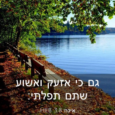Picture 03 - איכה 3:8 HEB - גם כי אזעק ואשוע שתם - Bible Verse Picture