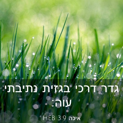 Picture 03 - איכה 3:9 HEB - גדר דרכי בגזית נתיבתי - Bible Verse Picture
