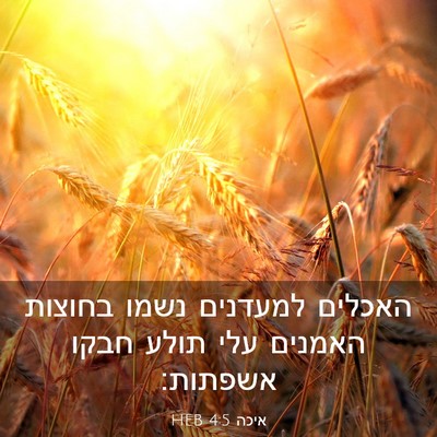 Picture 03 - איכה 4:5 HEB - האכלים למעדנים נשמו בחוצות - Bible Verse Picture