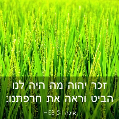 Picture 03 - איכה 5:1 HEB - זכר יהוה מה היה לנו הביט - Bible Verse Picture
