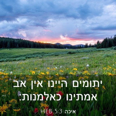 Picture 03 - איכה 5:3 HEB - יתומים היינו אין אב אמתינו - Bible Verse Picture