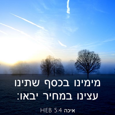 Picture 03 - איכה 5:4 HEB - מימינו בכסף שתינו עצינו - Bible Verse Picture