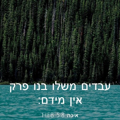 Picture 03 - איכה 5:8 HEB - עבדים משלו בנו פרק אין - Bible Verse Picture