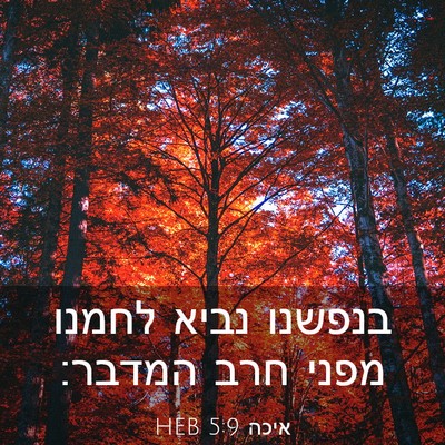 Picture 03 - איכה 5:9 HEB - בנפשנו נביא לחמנו מפני חרב - Bible Verse Picture