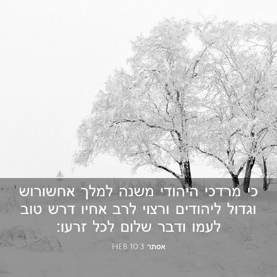 Picture 03 - אסתר 10:3 HEB - כי מרדכי היהודי משנה למלך - Bible Verse Picture