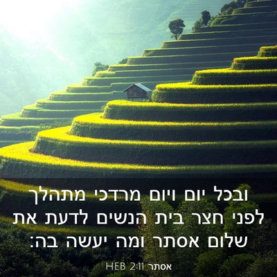 Picture 03 - אסתר 2:11 HEB - ובכל יום ויום מרדכי מתהלך - Bible Verse Picture