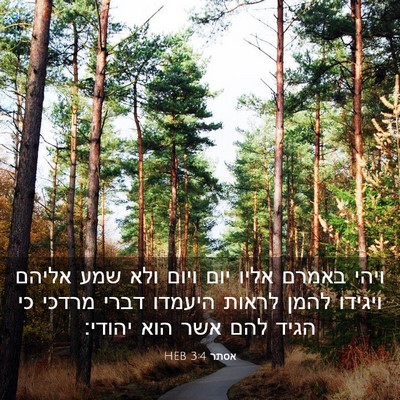 Picture 03 - אסתר 3:4 HEB - ויהי באמרם אליו יום ויום - Bible Verse Picture