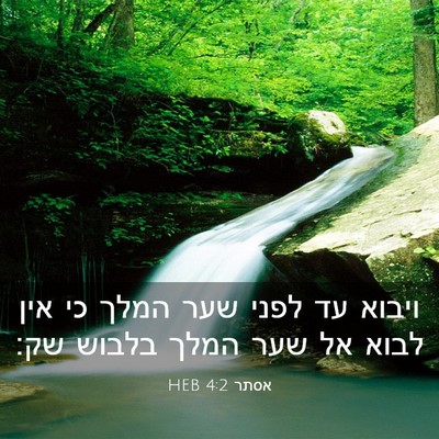 Picture 03 - אסתר 4:2 HEB - ויבוא עד לפני שער המלך כי - Bible Verse Picture