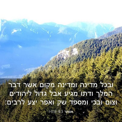 Picture 03 - אסתר 4:3 HEB - ובכל מדינה ומדינה מקום אשר - Bible Verse Picture