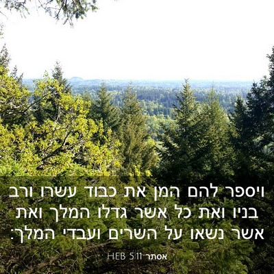 Picture 03 - אסתר 5:11 HEB - ויספר להם המן את כבוד עשרו - Bible Verse Picture