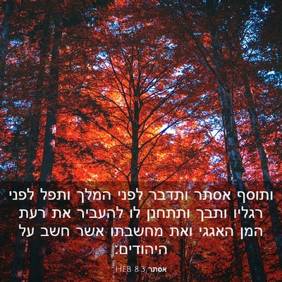 Picture 03 - אסתר 8:3 HEB - ותוסף אסתר ותדבר לפני המלך - Bible Verse Picture