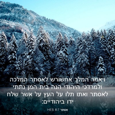 Picture 03 - אסתר 8:7 HEB - ויאמר המלך אחשורש לאסתר - Bible Verse Picture